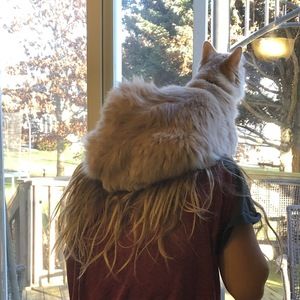 Meet your Posher, Evangeline